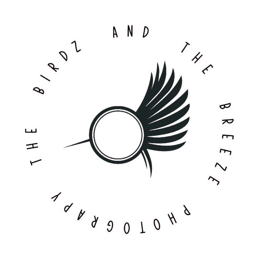 The Birdz and the Breeze logo