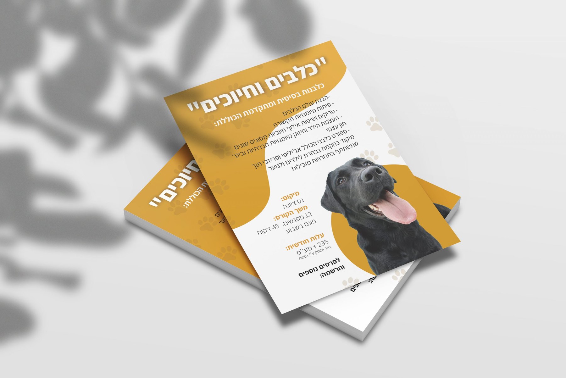 Dogs and cats, Flyer